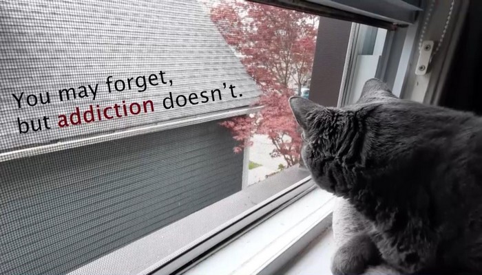 Addiction Doesn't Forget