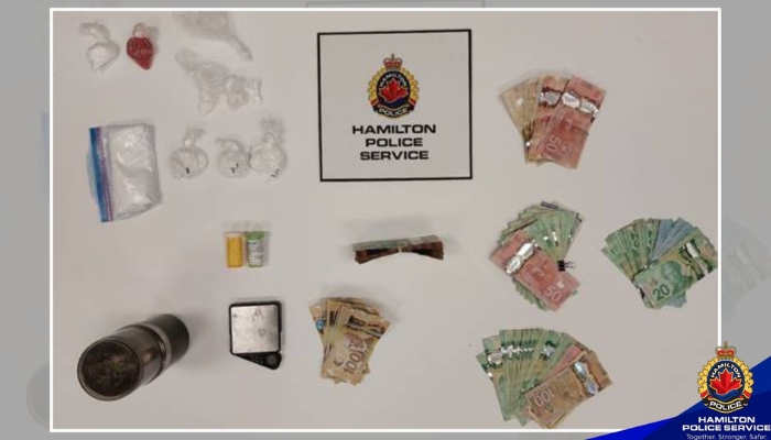 drug bust Hamilton