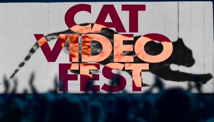 Cat Video Fest