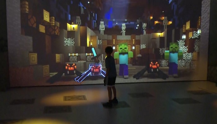 Minecraft Experience