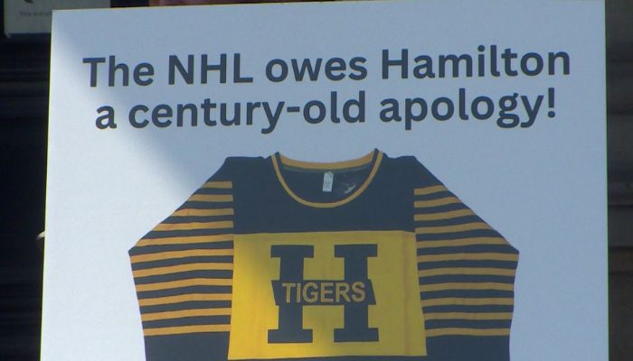 Hamilton NHL apology