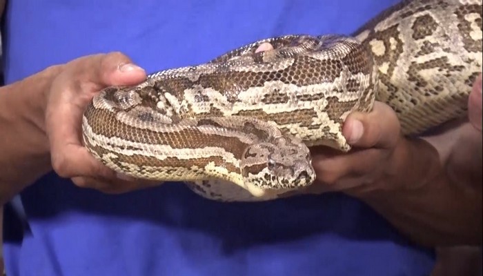 Hands On Exotics