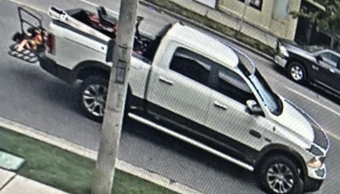 Brantford hit-and-run