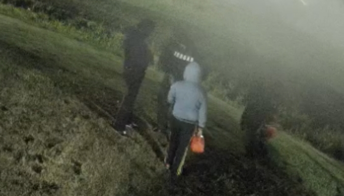 brant arson investigation