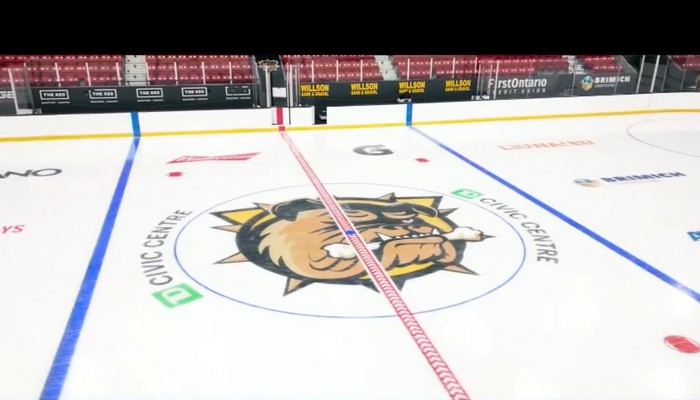 Brantford Bulldogs