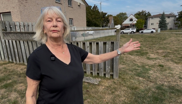 Brantford distraction theft