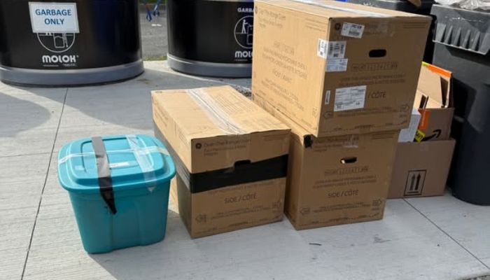 abandoned cats Niagara humane society