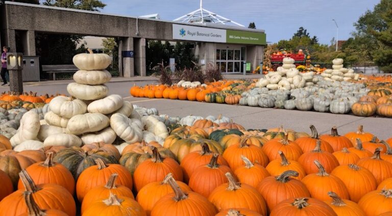 Carving RBG Great Pumpkin Trail