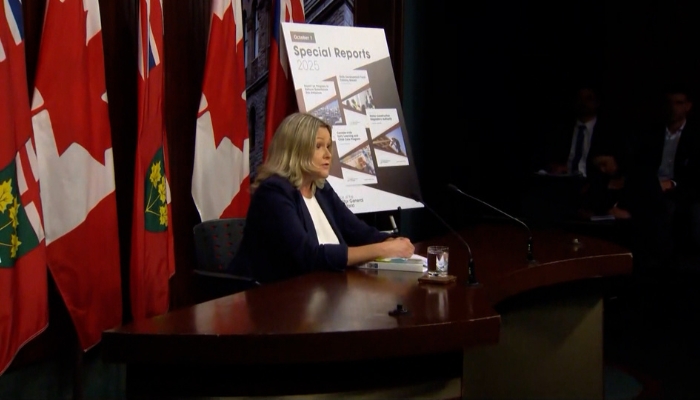 Auditor General Ontario skills fund