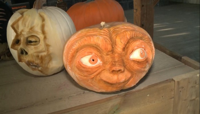Pumpkins After Dark