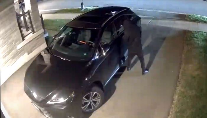 Hamilton car theft arrests