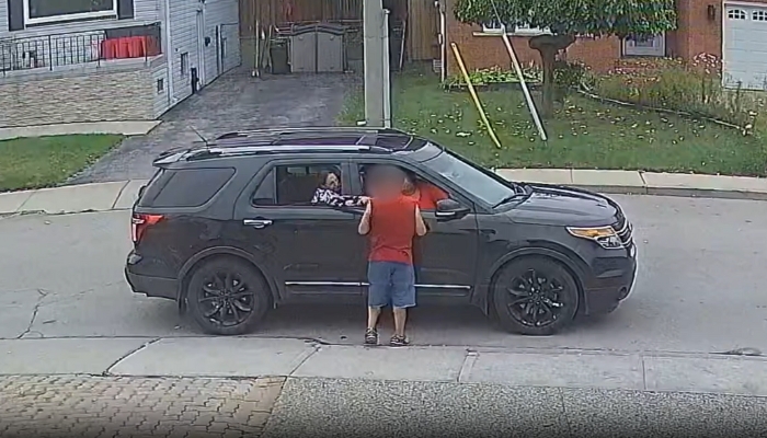 Hamilton distraction theft