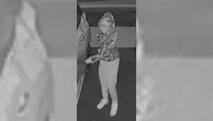 Cart thefts Niagara