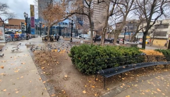 Gore Park. Hamilton, Ont.