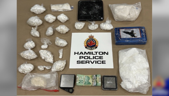 Hamilton cocaine arrest