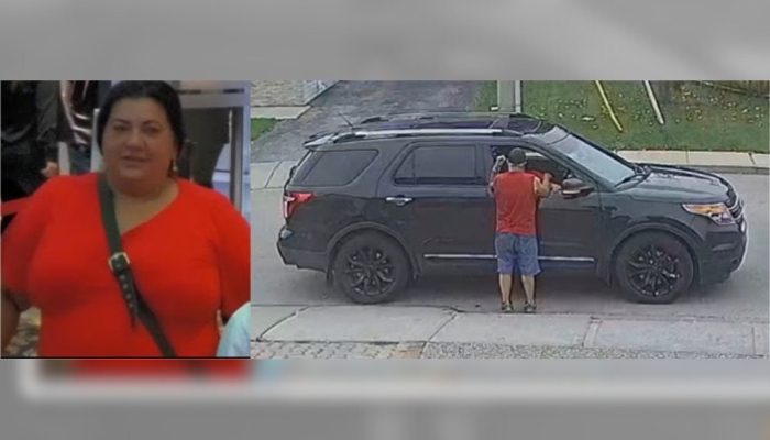 Hamilton distraction thefts arrest