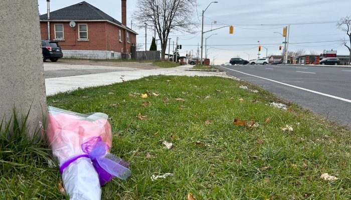 Hamilton crossing guard killed