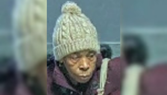 Missing woman Niagara region