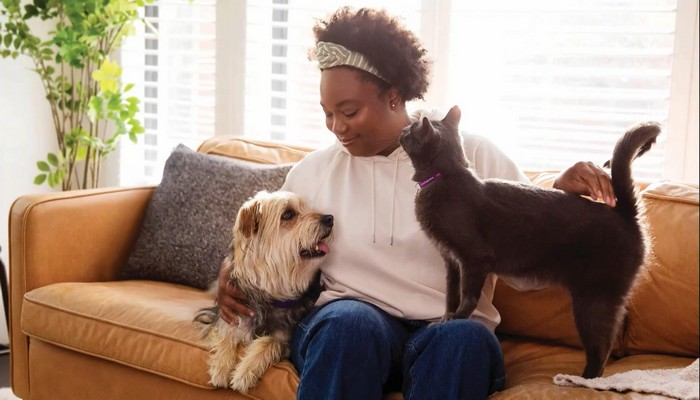 The Purple Leash Project