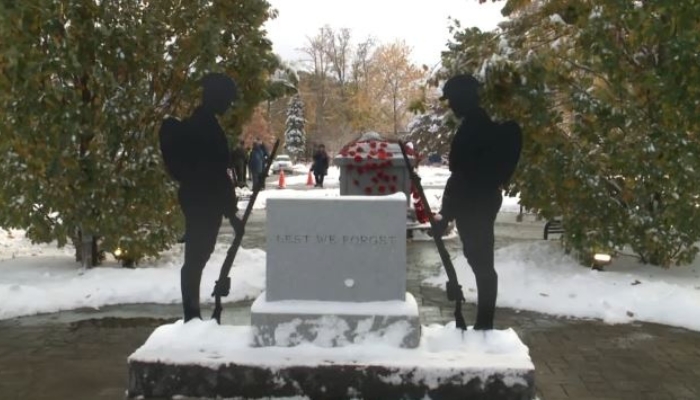REMEMBRANCE DAY NIAGARA FALLS MONUMENT SOLDIERS POPPY