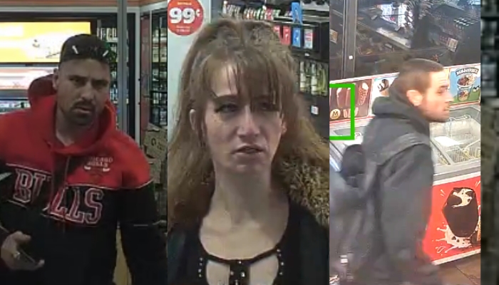 Brant county theft suspects