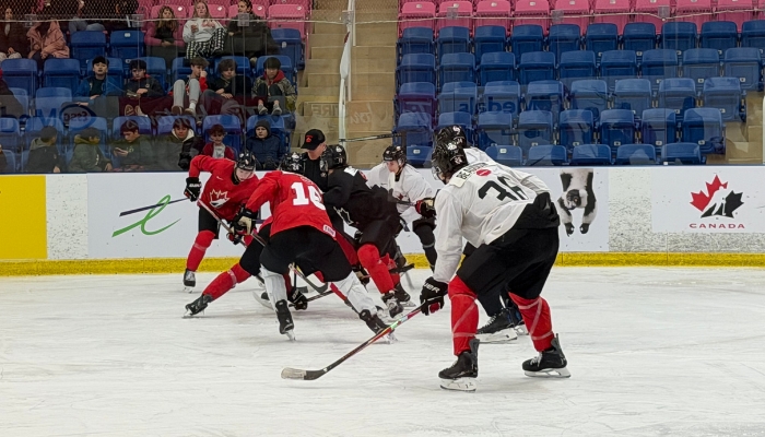 Junior Hockey Training Niagara Falls