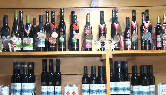 Caroline Cellars Family Estate Winery