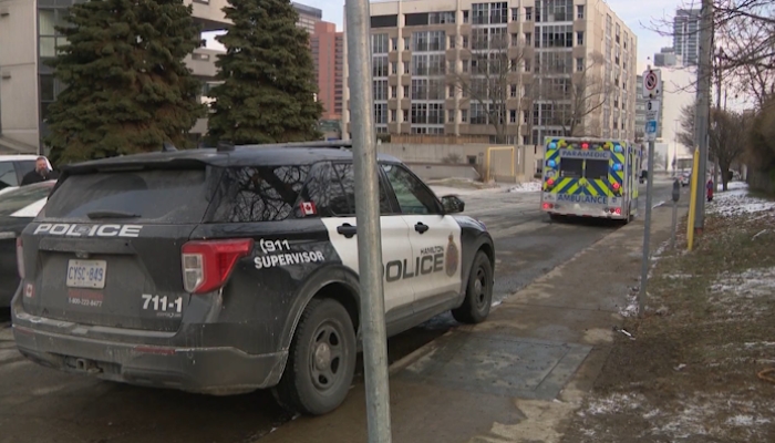 dog bites child Hamilton