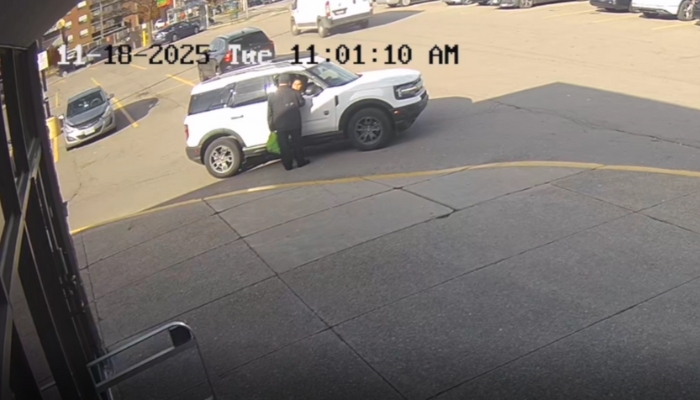 Hamilton distraction theft