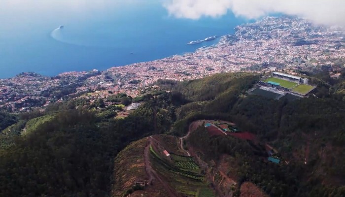 Jennifer Weatherhead Harrington