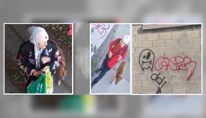 Hamilton police ask for public help identifying suspect of mischief graffiti