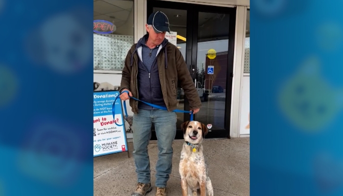 Monty the hound adoption