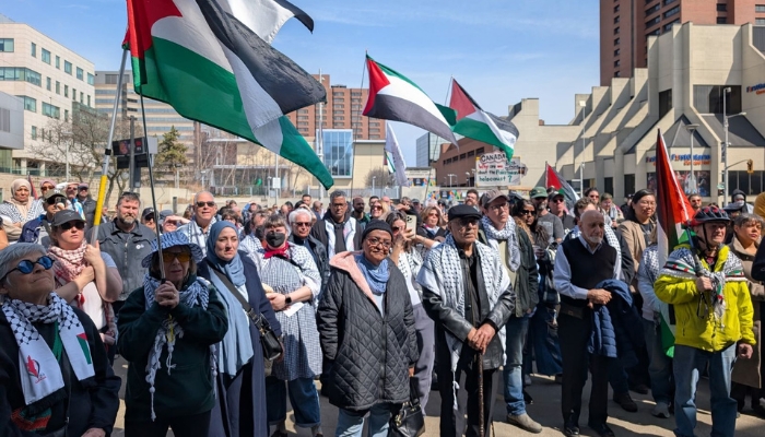 Hamilton City Hall Palestine flag