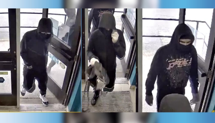 Pelham attempted bank robbery