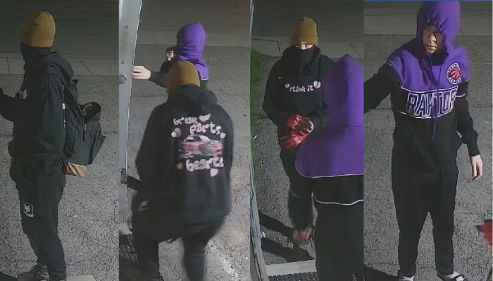 Fort Erie Vape Shop break-in