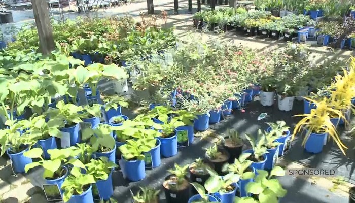 Stevensville Garden Gallery