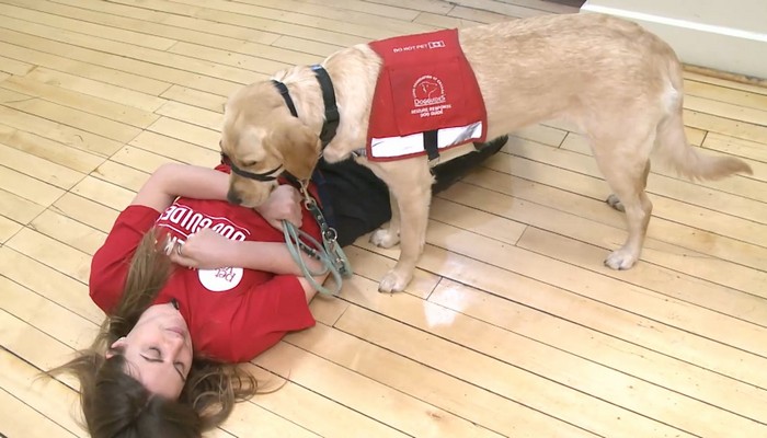 The Lions Foundation of Canada Dog Guides