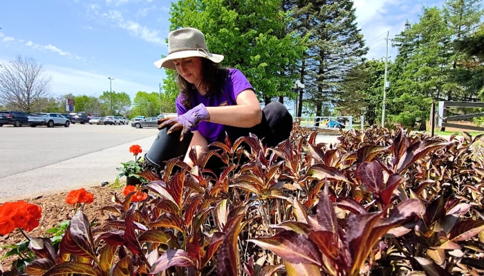 Oakville gardening stretches