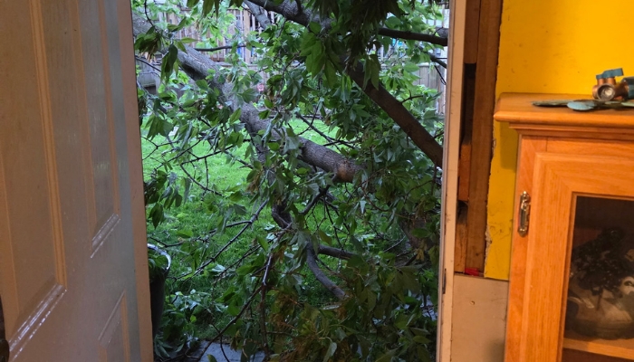 Ontario severe thunderstorm tornado
