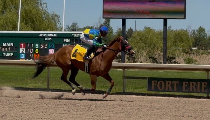 fort erie race track horses