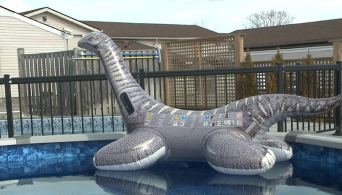 The Pool Shoppe