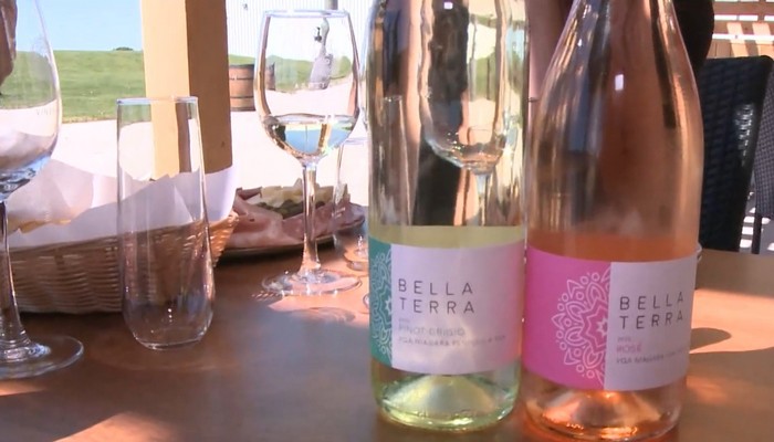 Bella Terra Vineyards