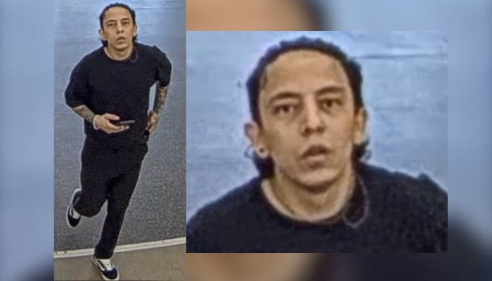 arson suspect hamilton