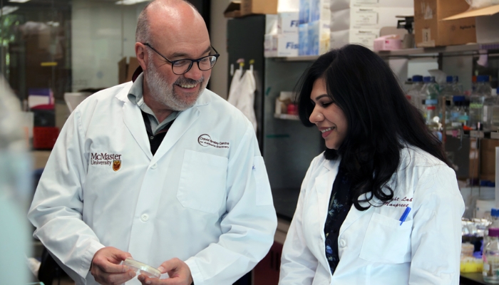 mcmaster antibiotic