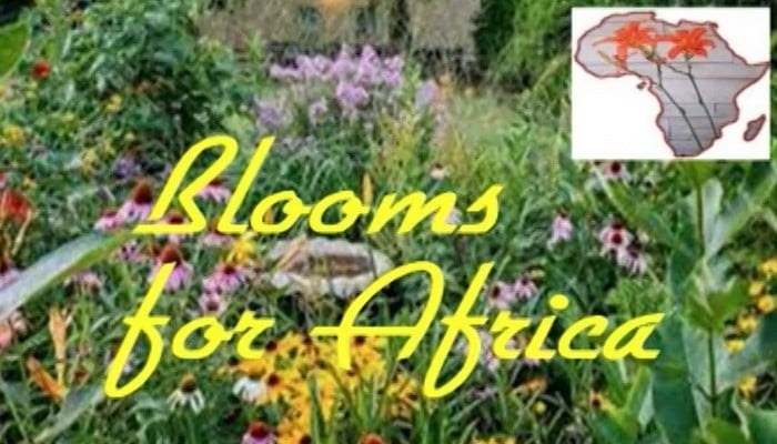 Blooms for Africa