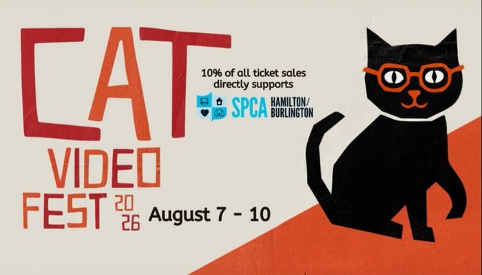 Cat Video Fest 2026