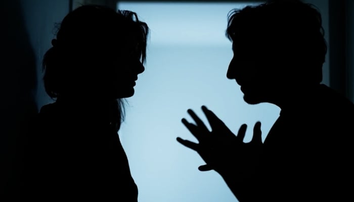 StatCan intimate partner violence