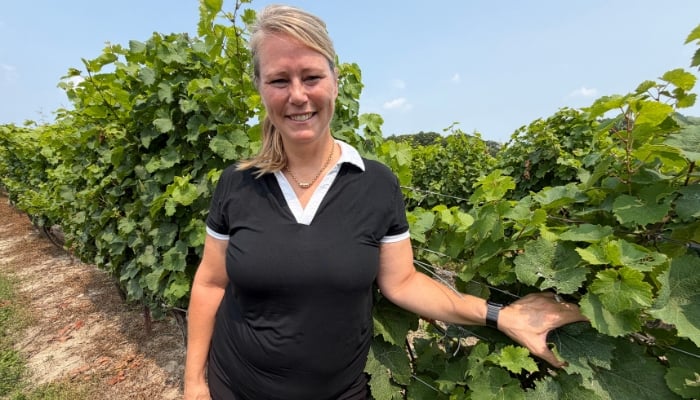 Niagara winery industry