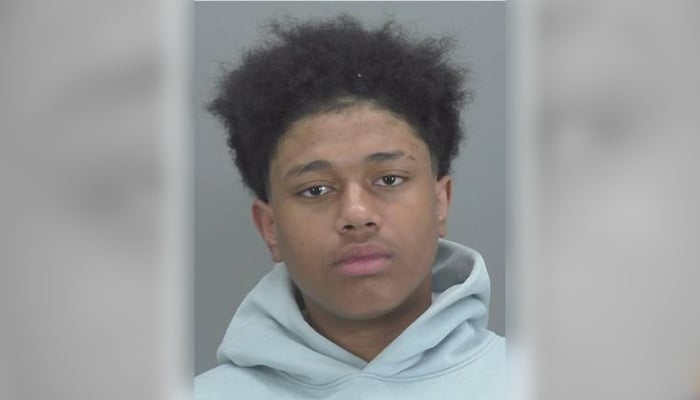 Stoney Creek double homicide