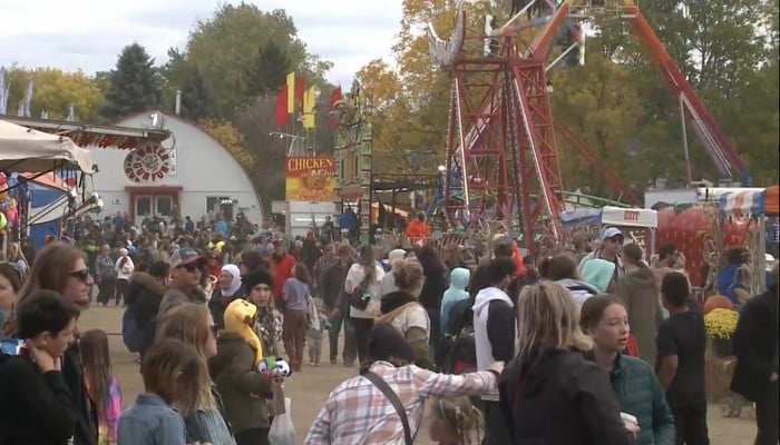 Festival Safety